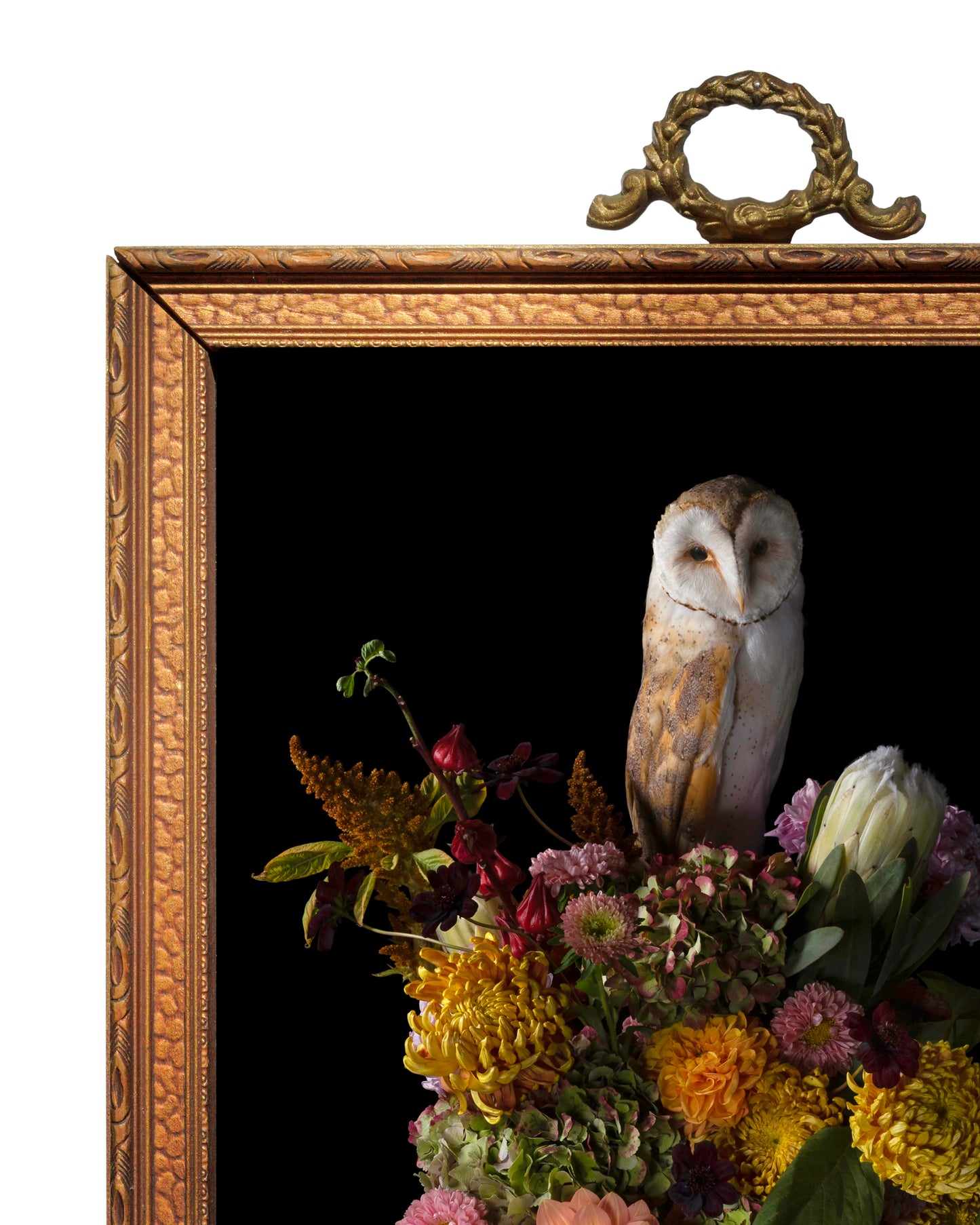 'Phantasm' in Victorian Frame