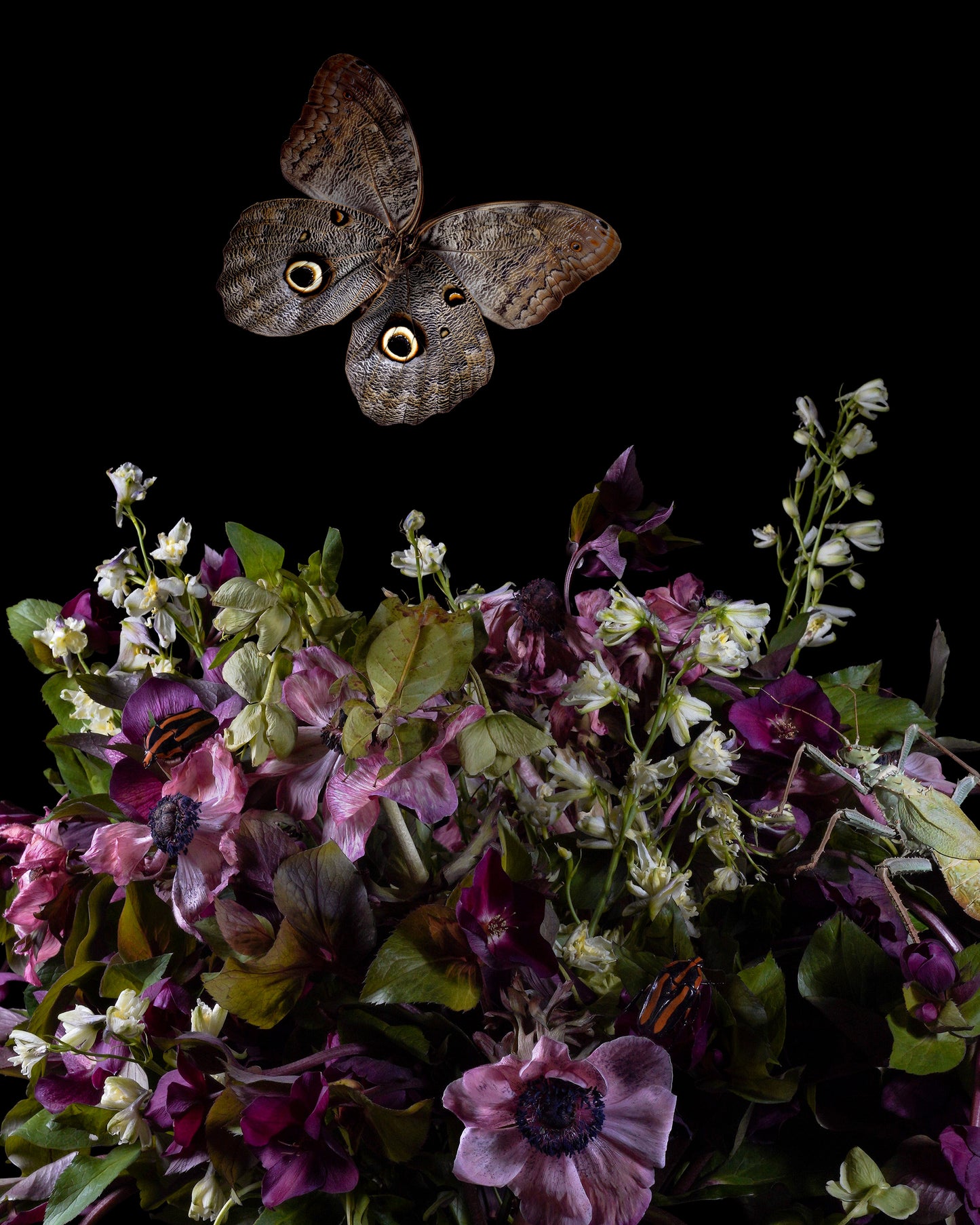 'Spectre' -  Limited Run Print