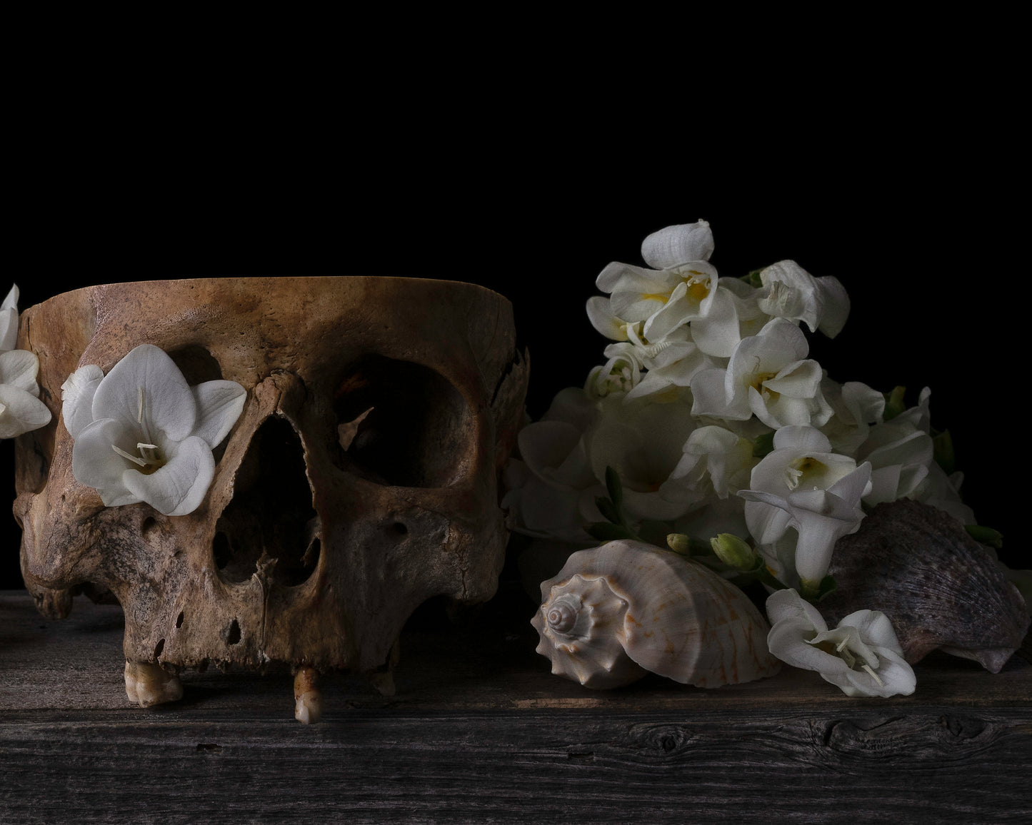 'Templum' - Limited Run Print