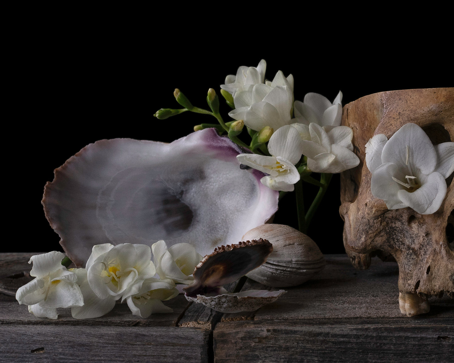 'Templum' - Limited Run Print