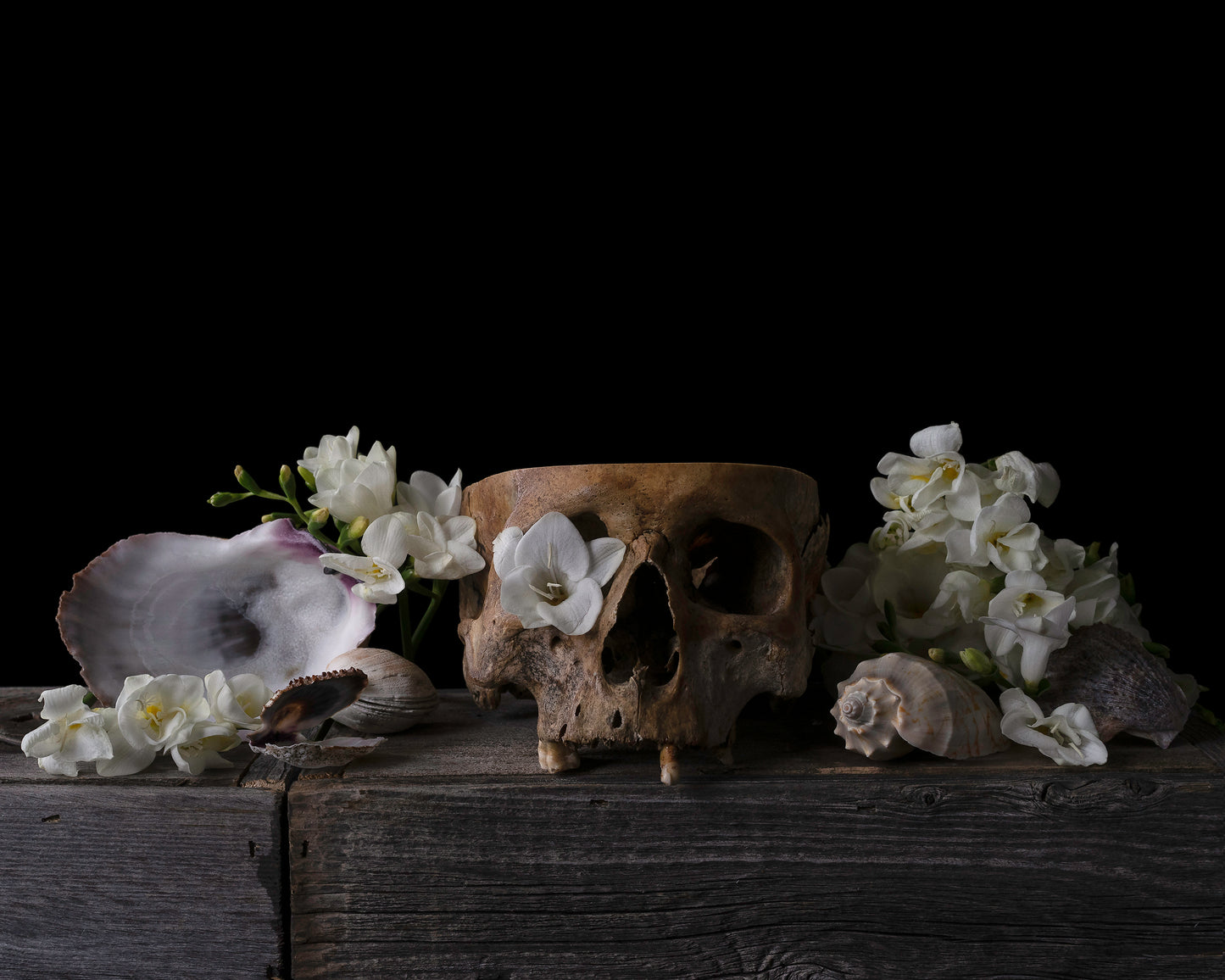 'Templum' - Limited Run Print