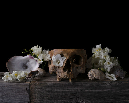 'Templum' -  Limited Run Print