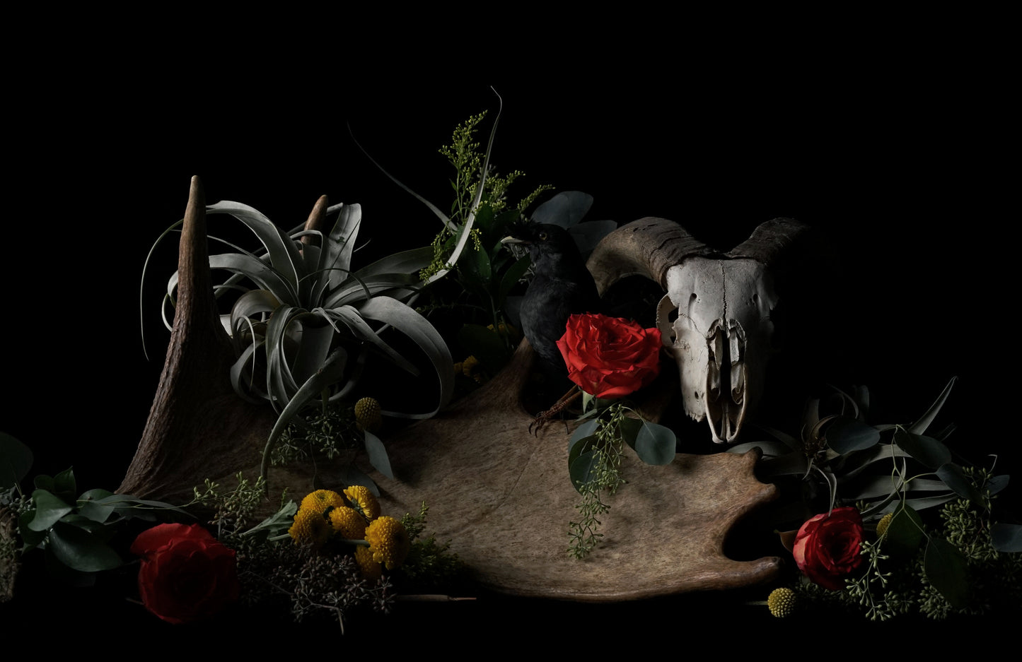 'Untitled 33' -  Limited Run Print