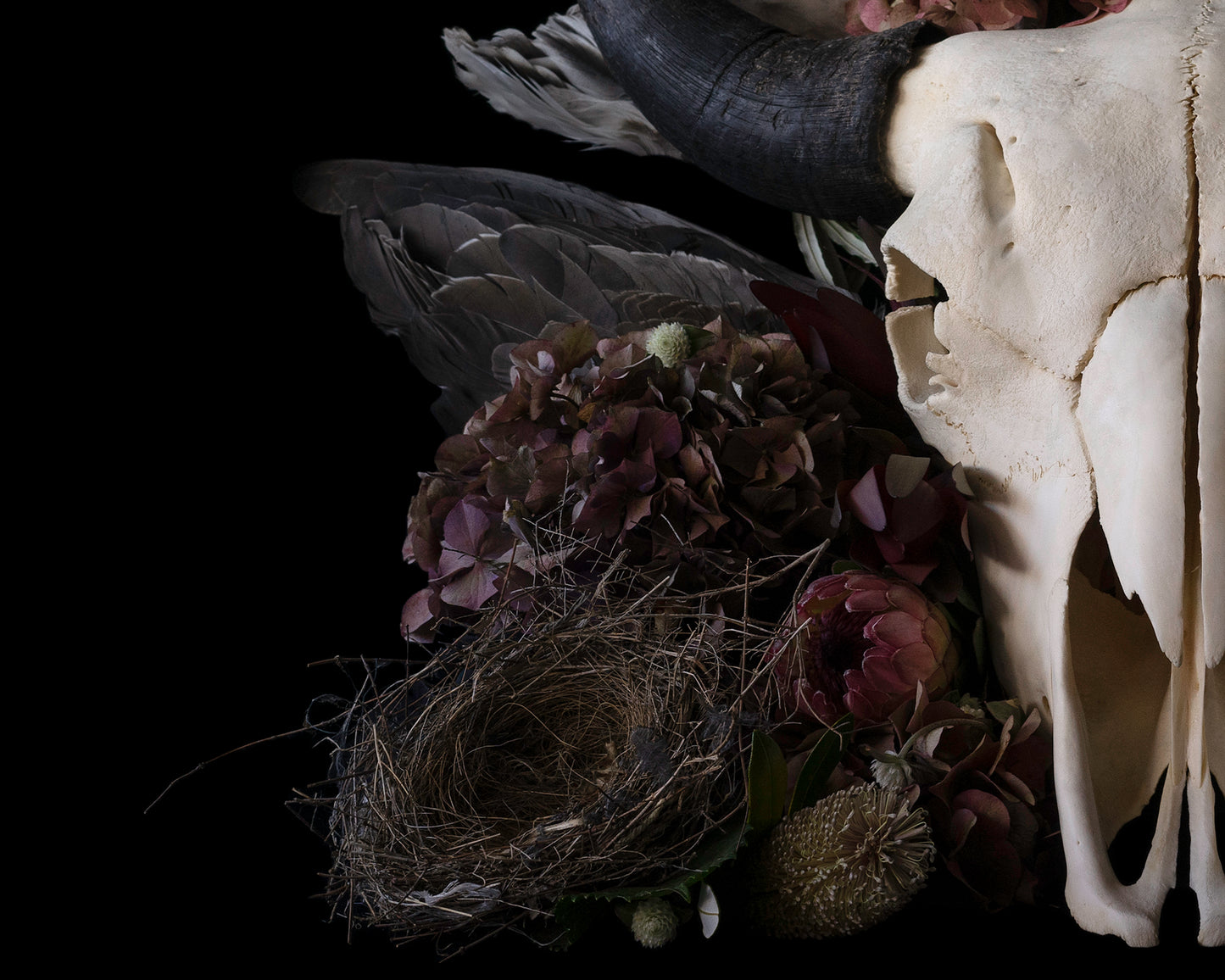 'Untitled 72' -  Limited Run Print