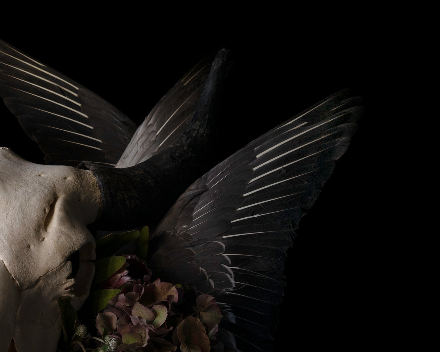 'Untitled 72' -  Limited Run Print