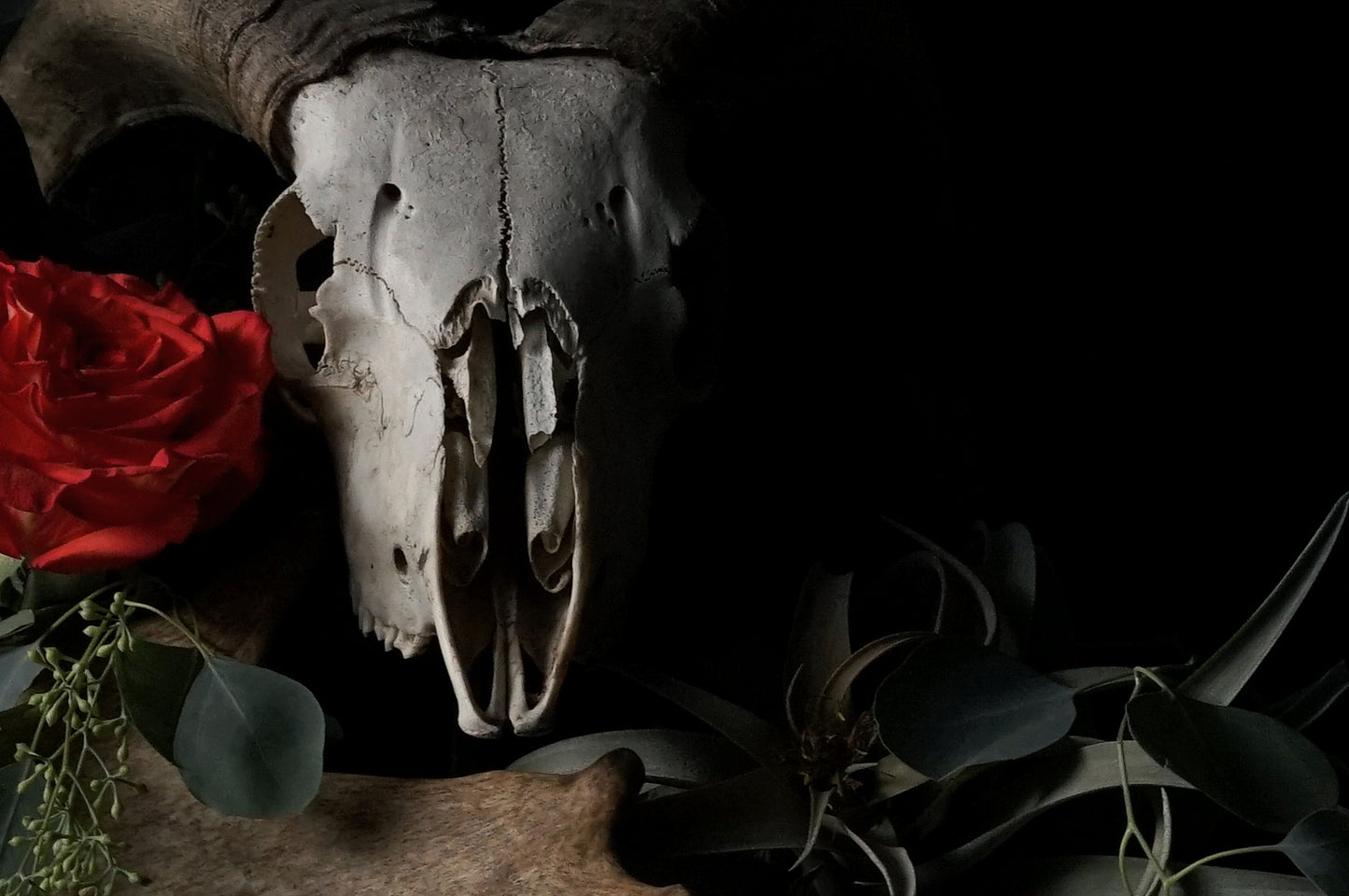 'Untitled 33' -  Limited Run Print