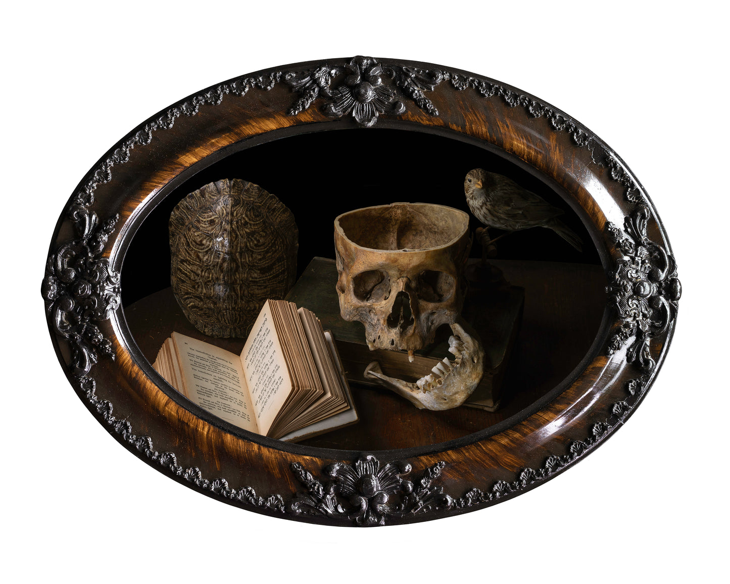 'Vanus' in Victorian Frame