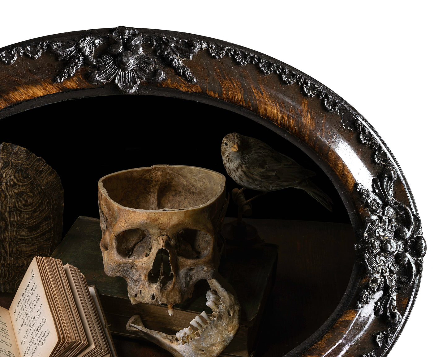 'Vanus' in Victorian Frame