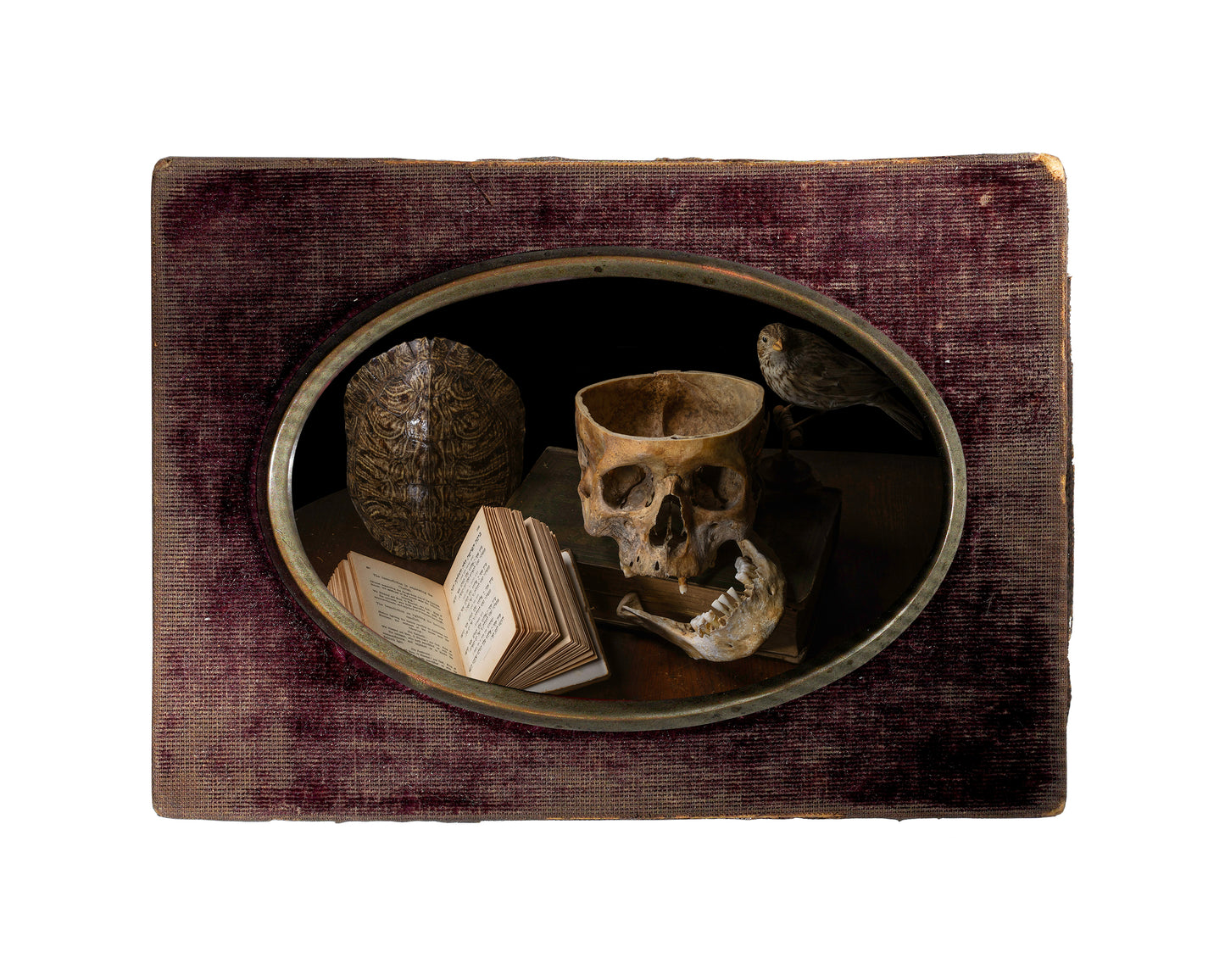 'Vanus' in Victorian Frame