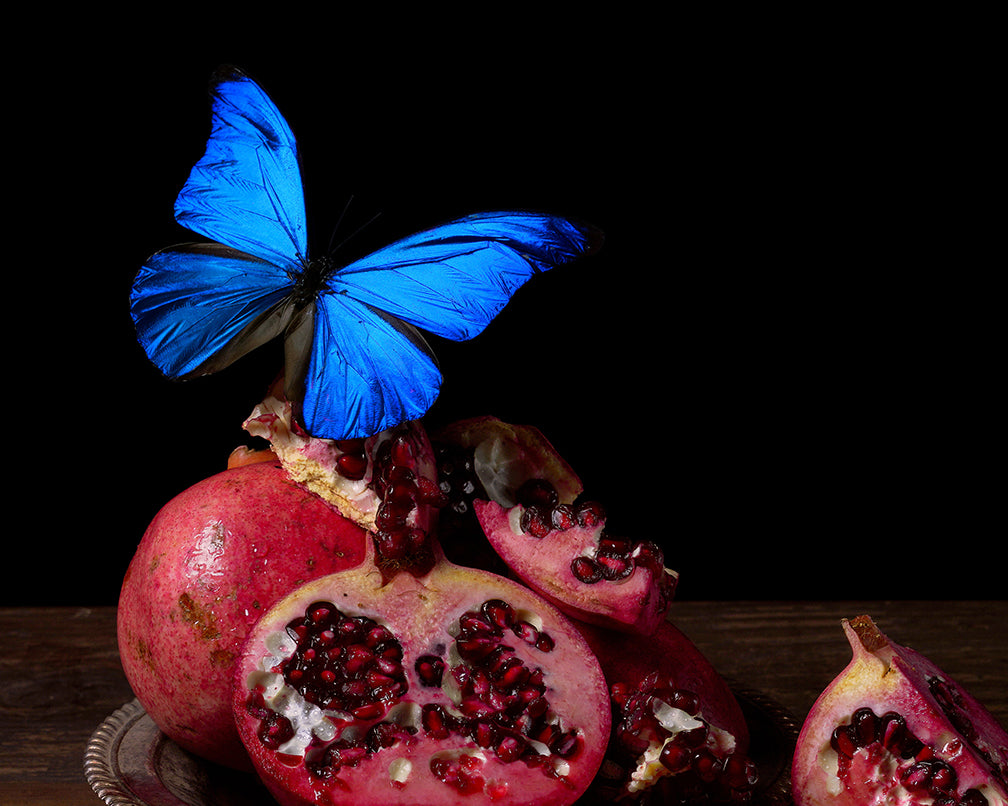 'Visitare' -  Limited Run Print