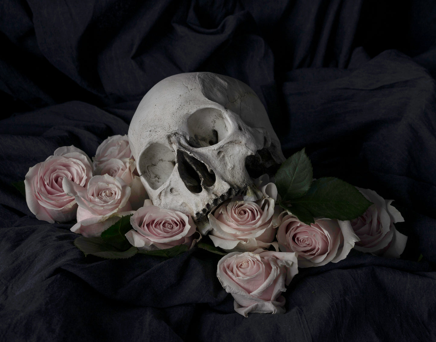 Ossum Postcard Set - 5 Postcards