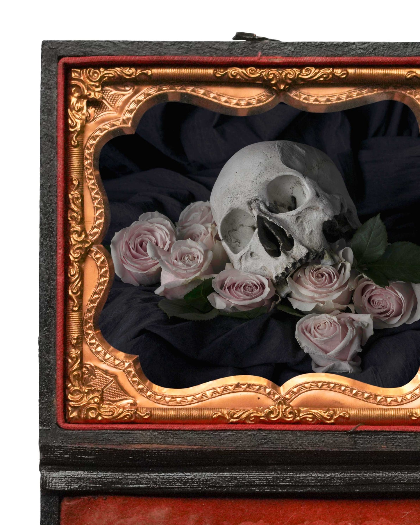 Ācēocian - Restored Union Case Frame, One of a Kind