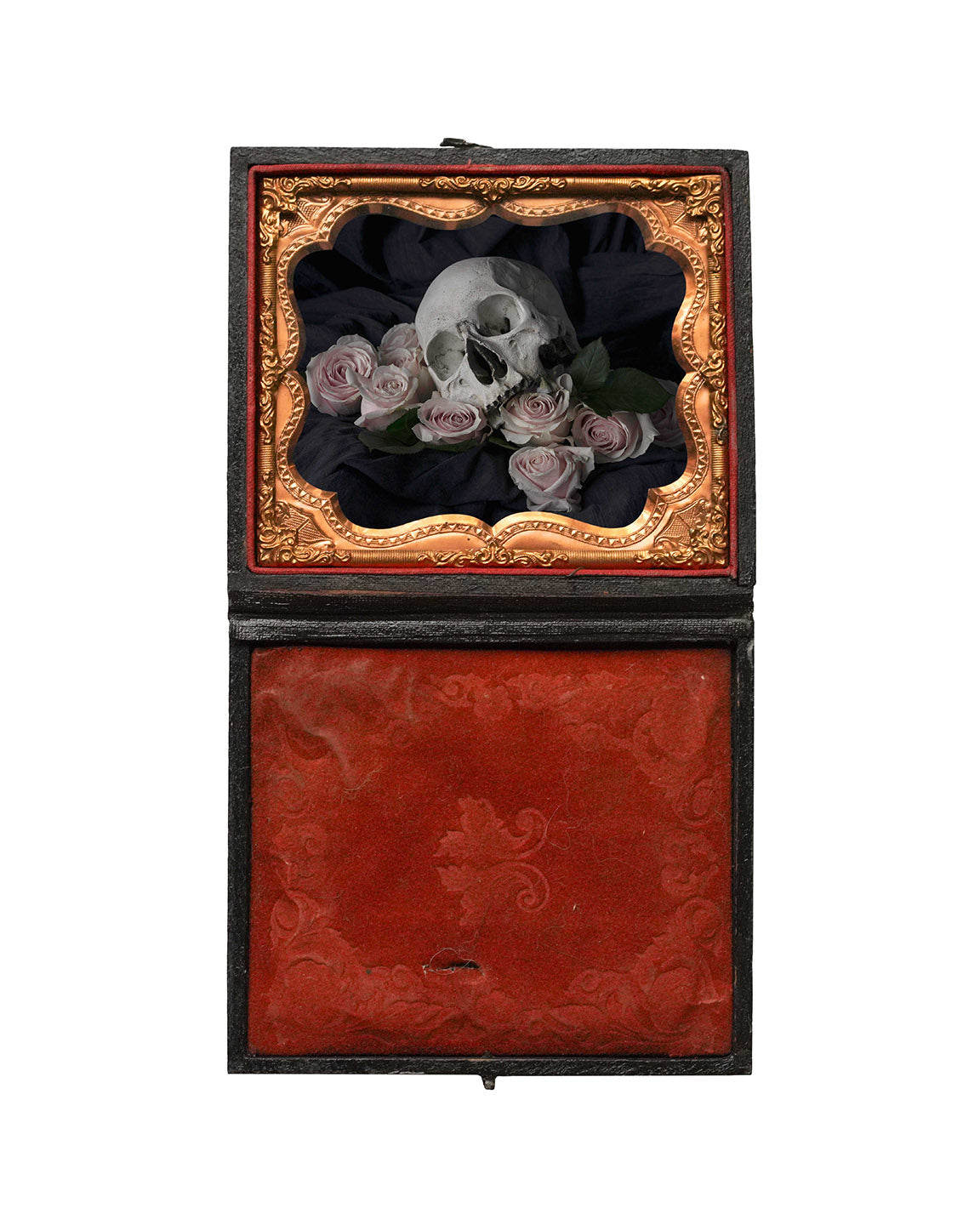 Ācēocian - Restored Union Case Frame, One of a Kind