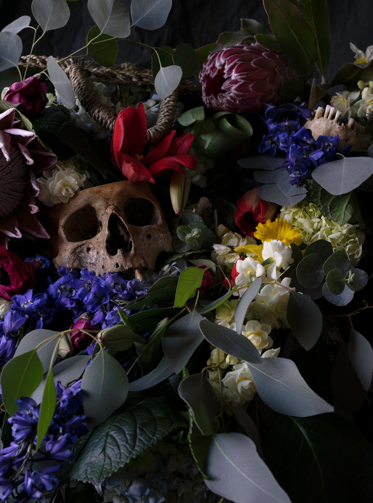 Ossum Postcard Set - 5 Postcards