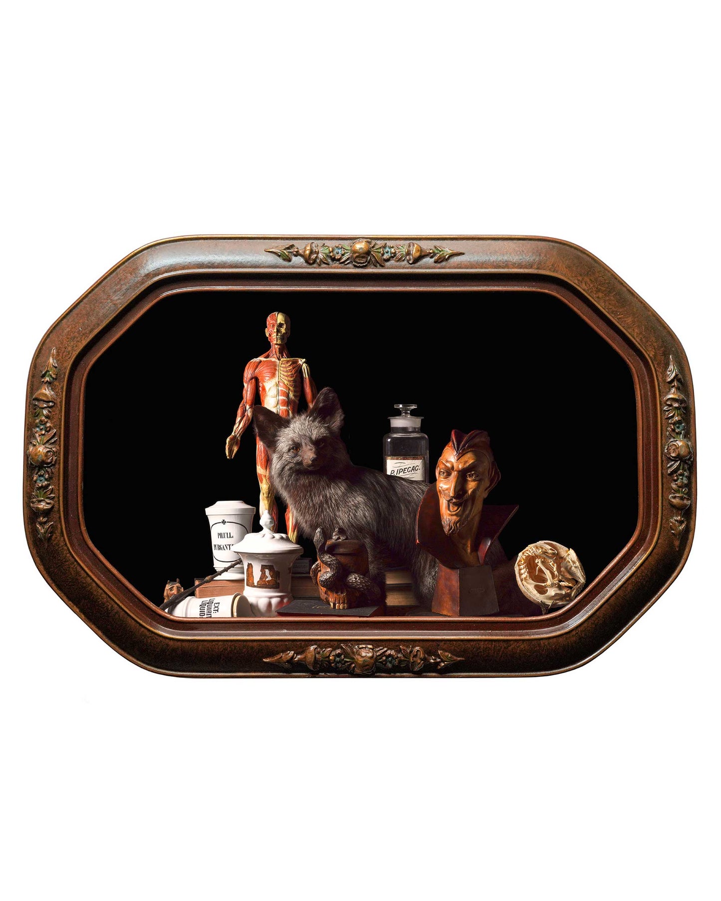 Apotheca - Restored Victorian Frame, One of a Kind
