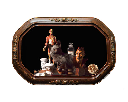 'Apotheca' in Victorian Frame