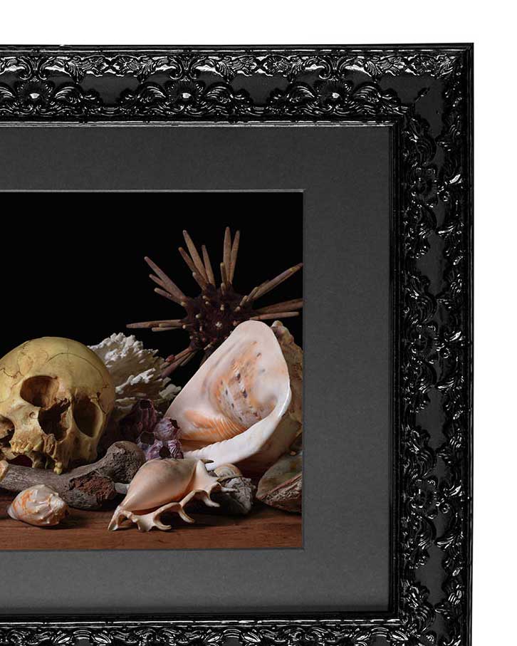 Pelagios- Victorian Inspired Wall Frame