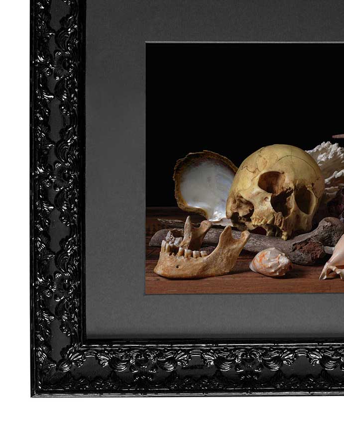 Pelagios- Victorian Inspired Wall Frame