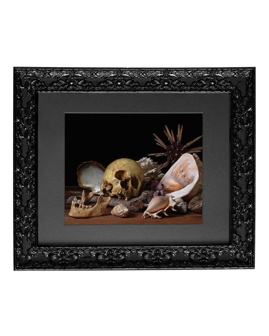 Pelagios- Victorian Inspired Wall Frame