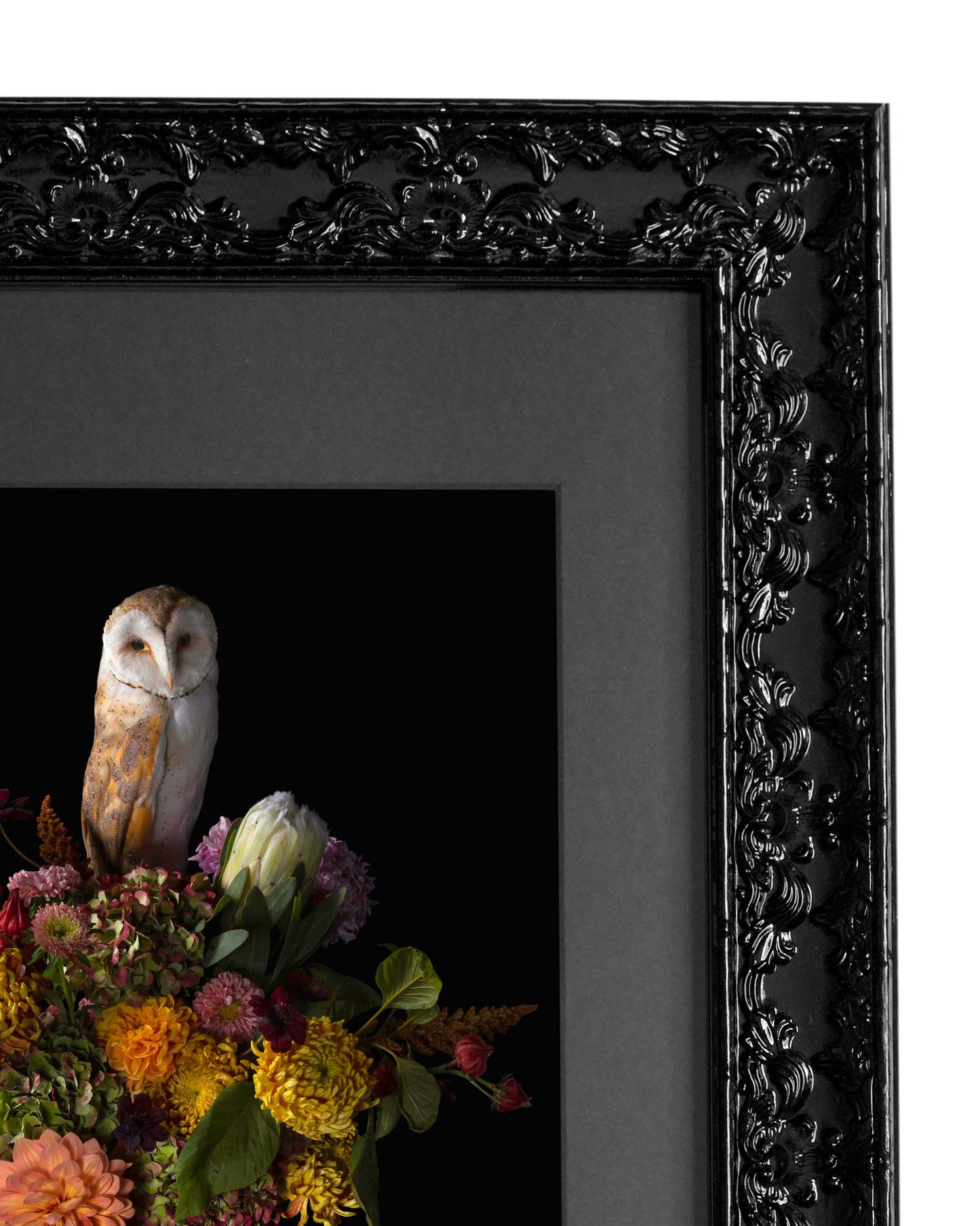 Phantasm - Victorian Inspired Wall Frame