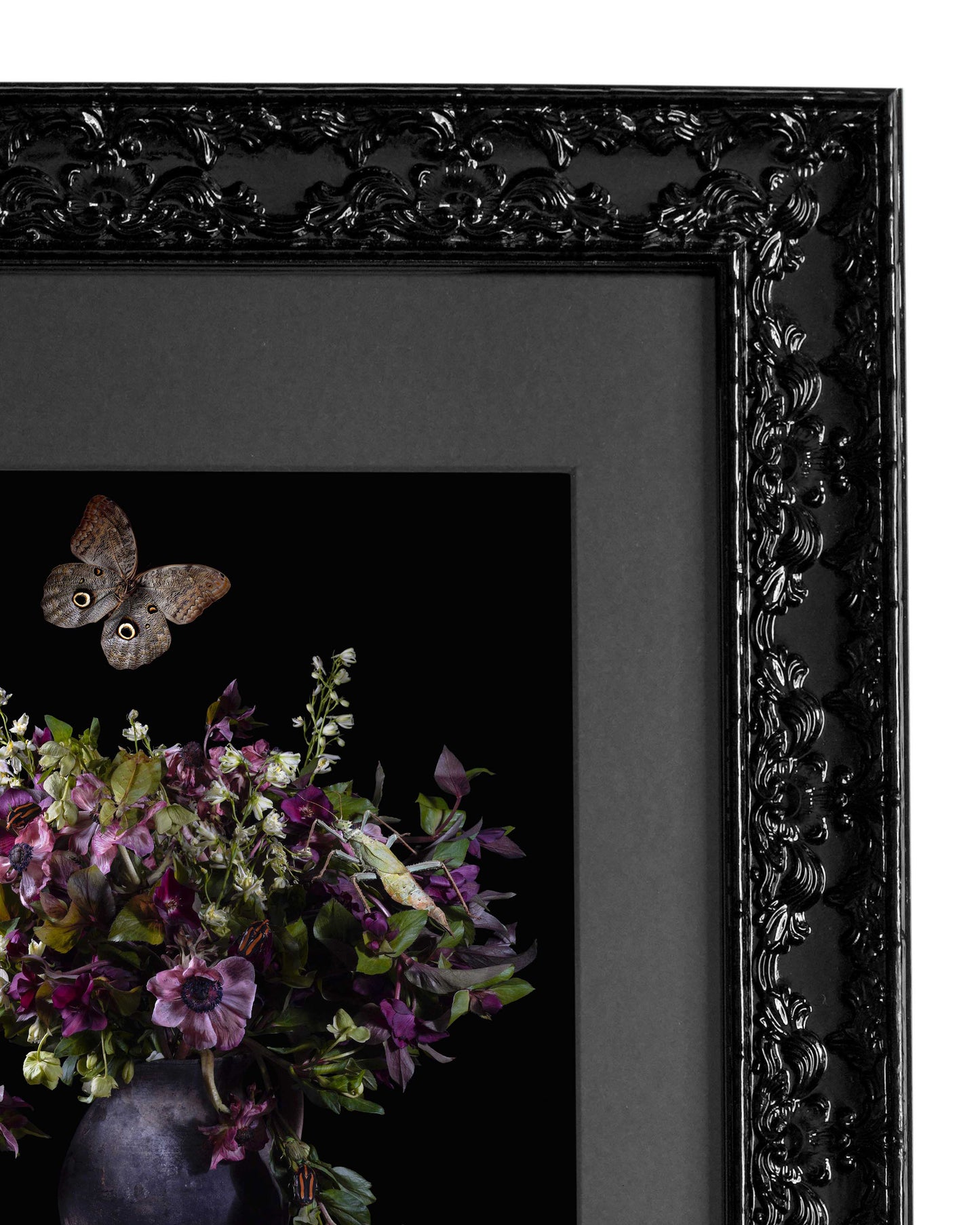 Spectre - Victorian Inspired Wall Frame