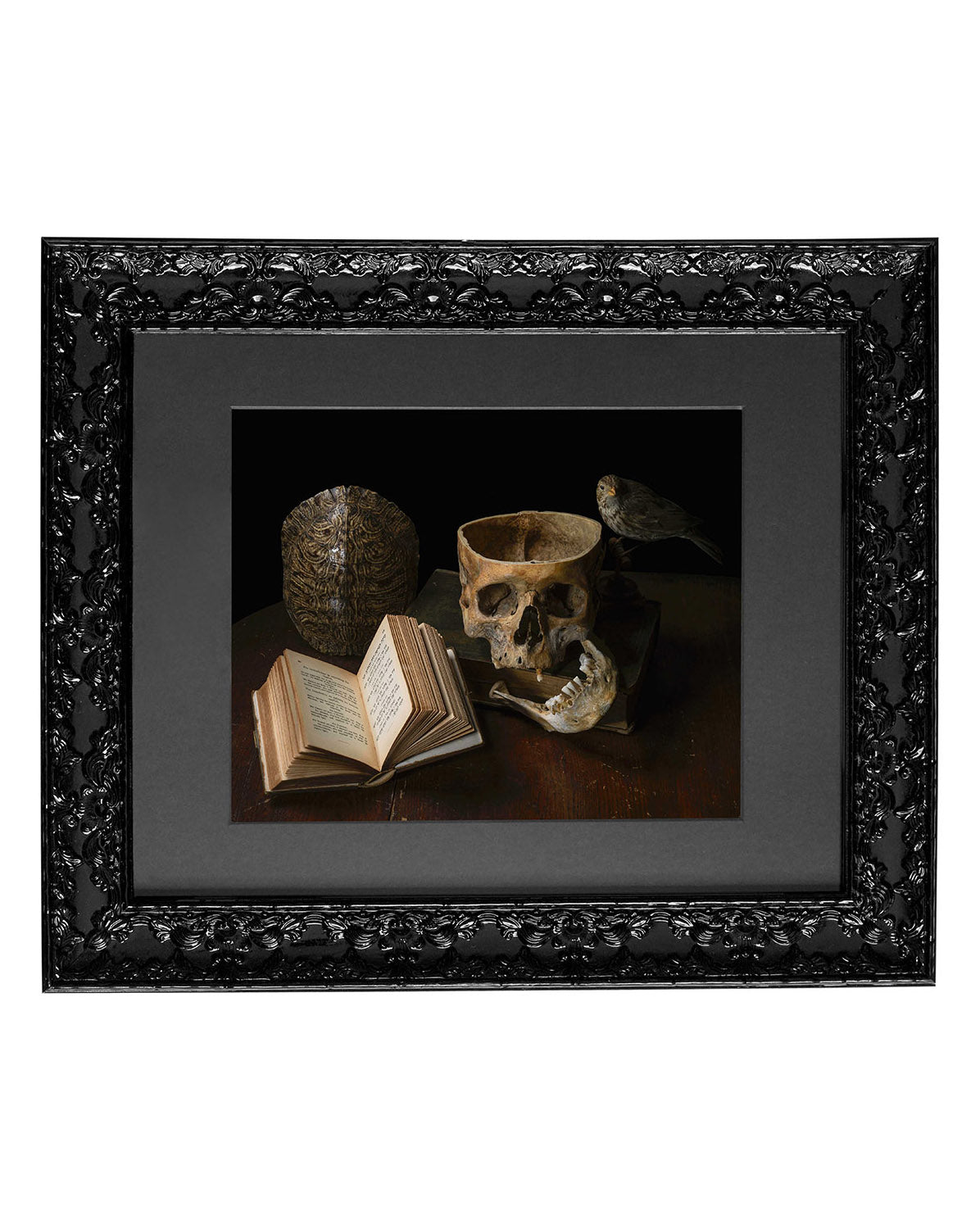 Vanus - Victorian Inspired Wall Frame