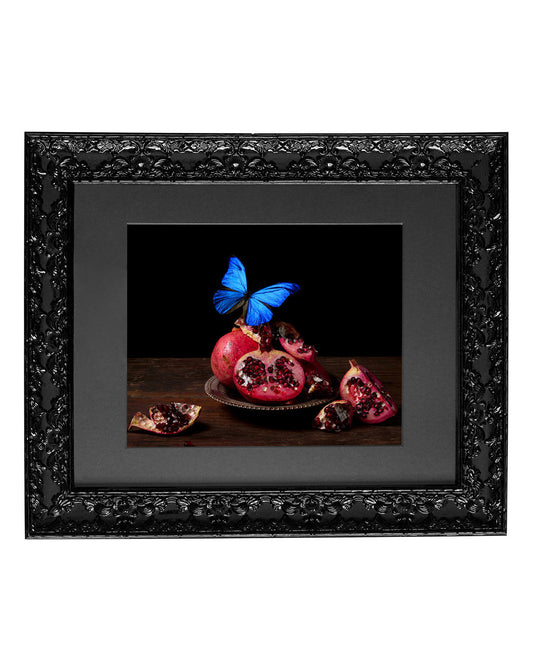 Visitare - Victorian Inspired Wall Frame