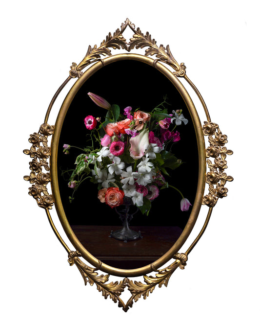 'Blyscan' in Victorian Frame