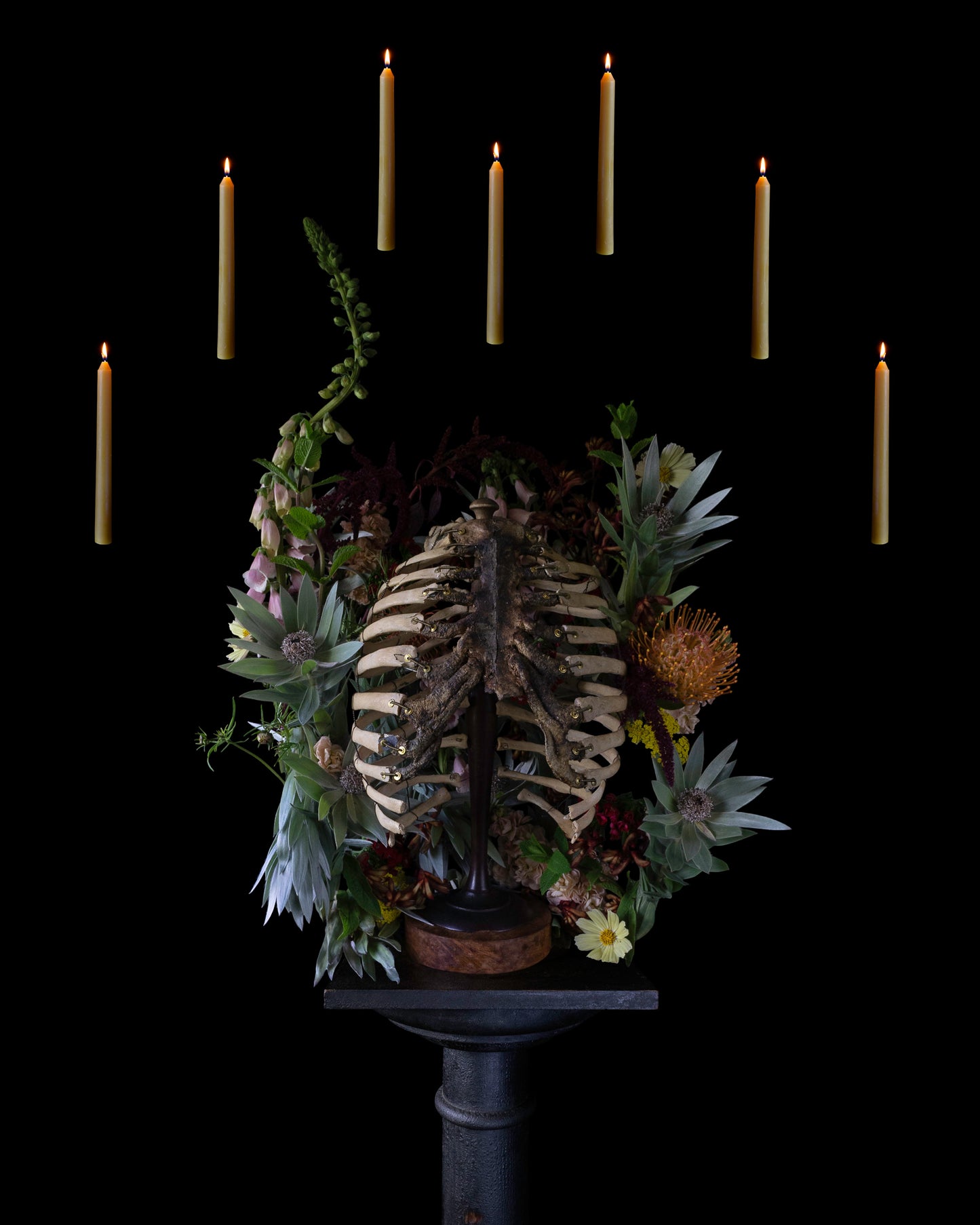 Ossum Postcard Set - 5 Postcards