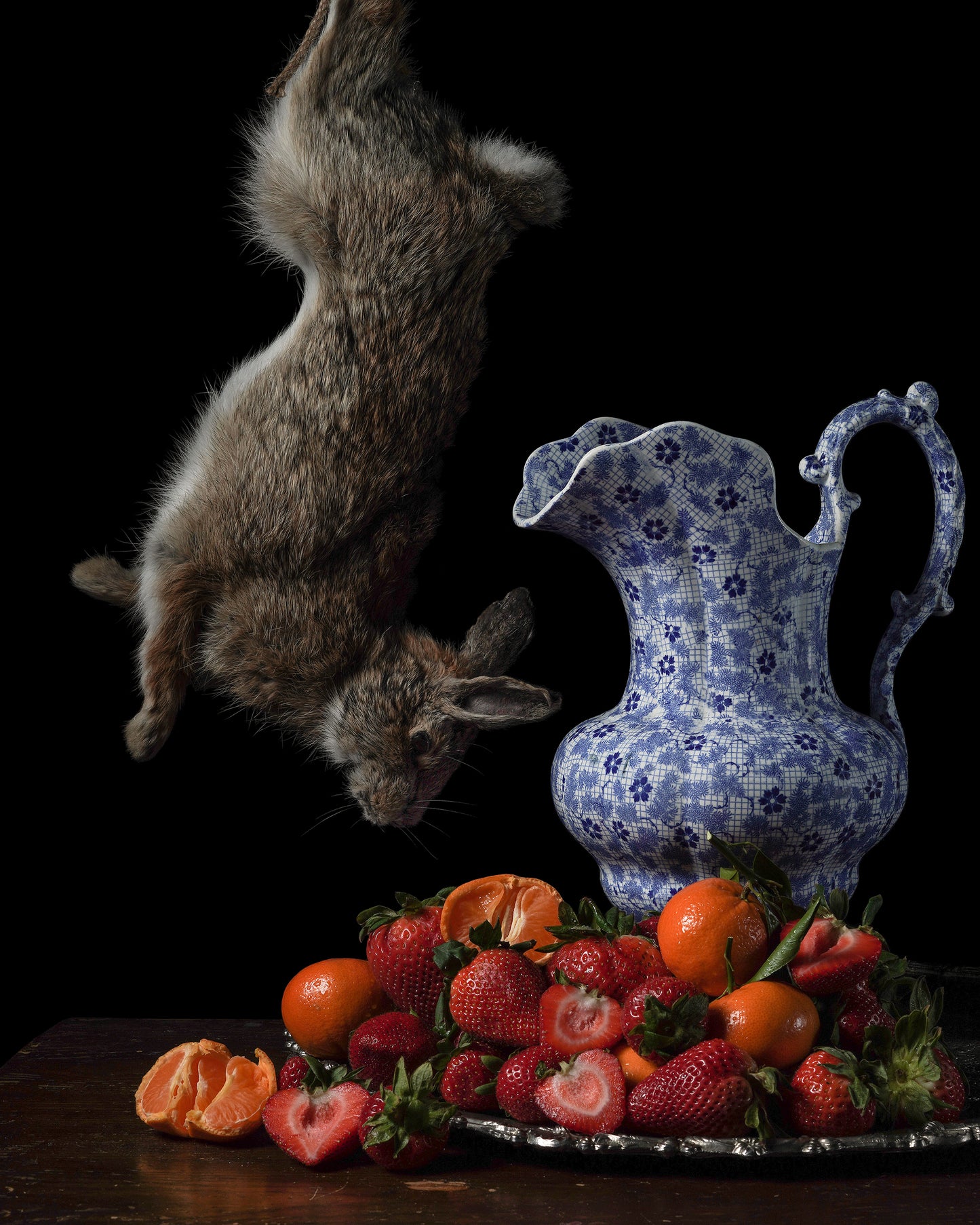 Animalium Postcard Set - 5 Postcards