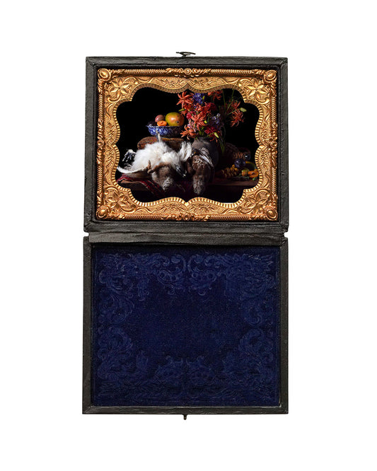 Exstasie - Restored Union Case Frame, One of a Kind