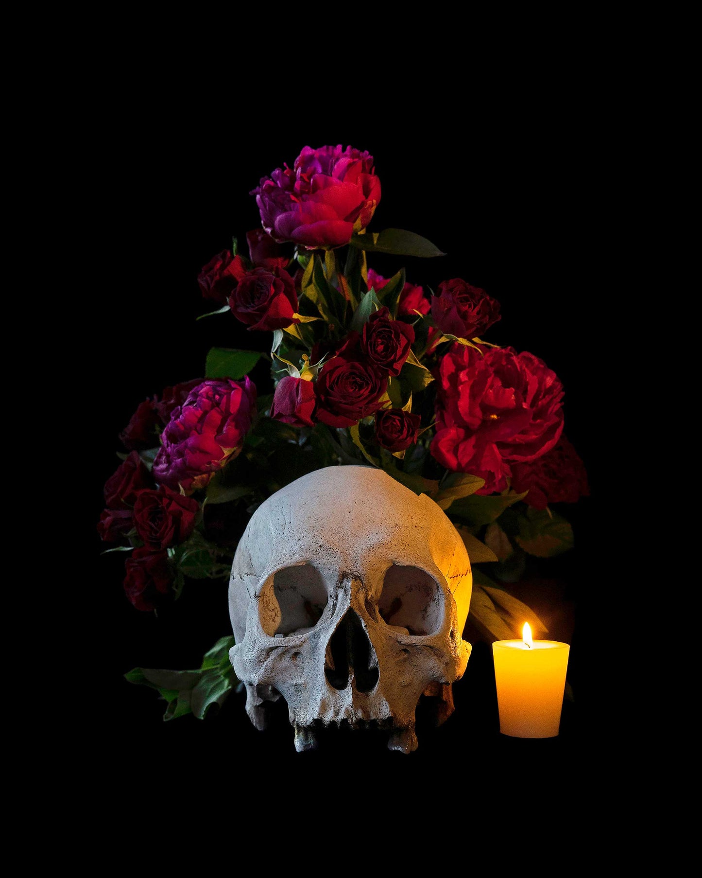 Ossum Postcard Set - 5 Postcards