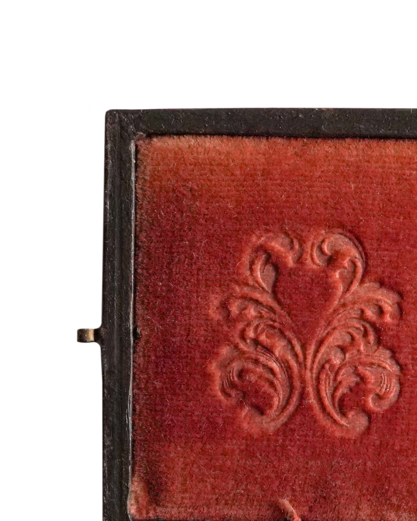 'Florere' in Antique Union Case