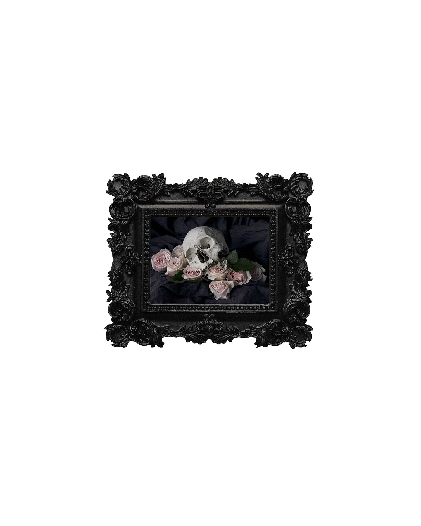 Ācēocian - Mini Frame Print