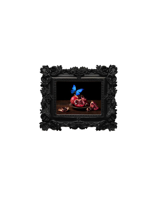 Visitare - Mini Frame Print