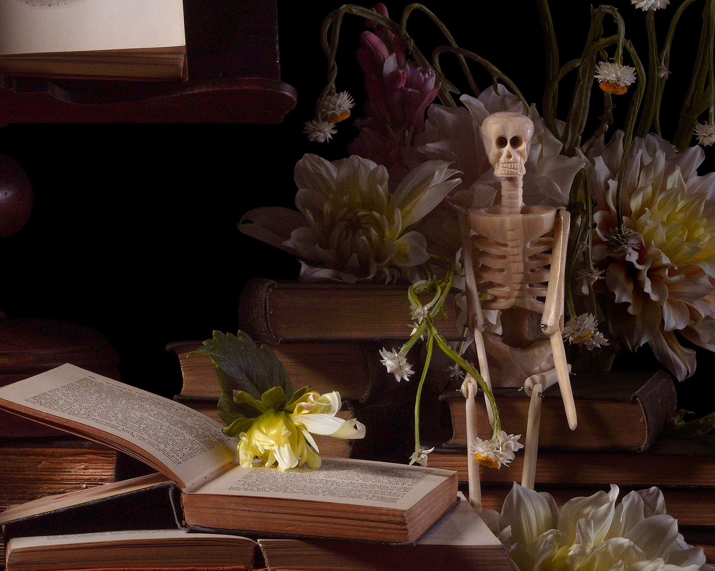 'Monstrum' -  Limited Run Print