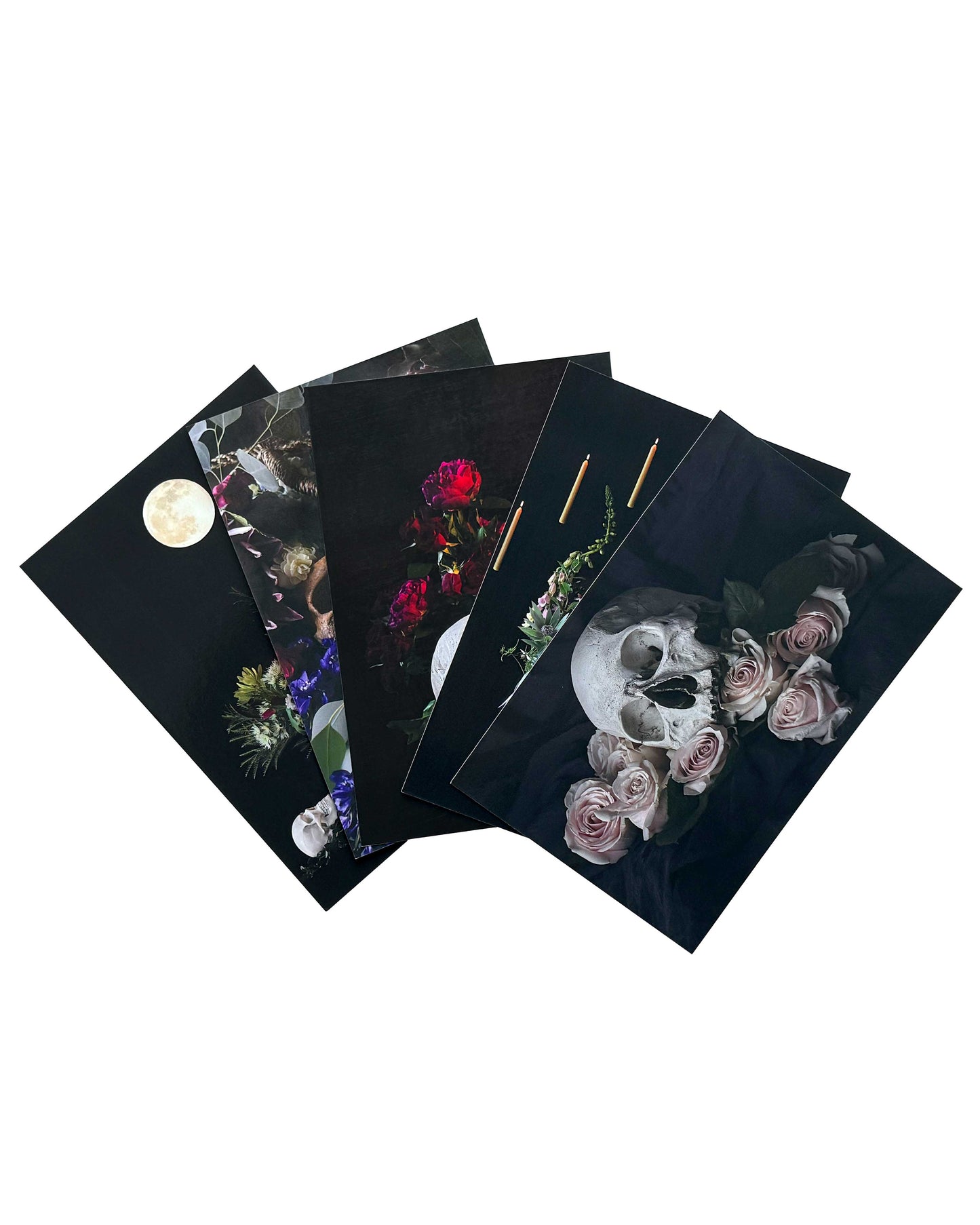 Ossum Postcard Set - 5 Postcards