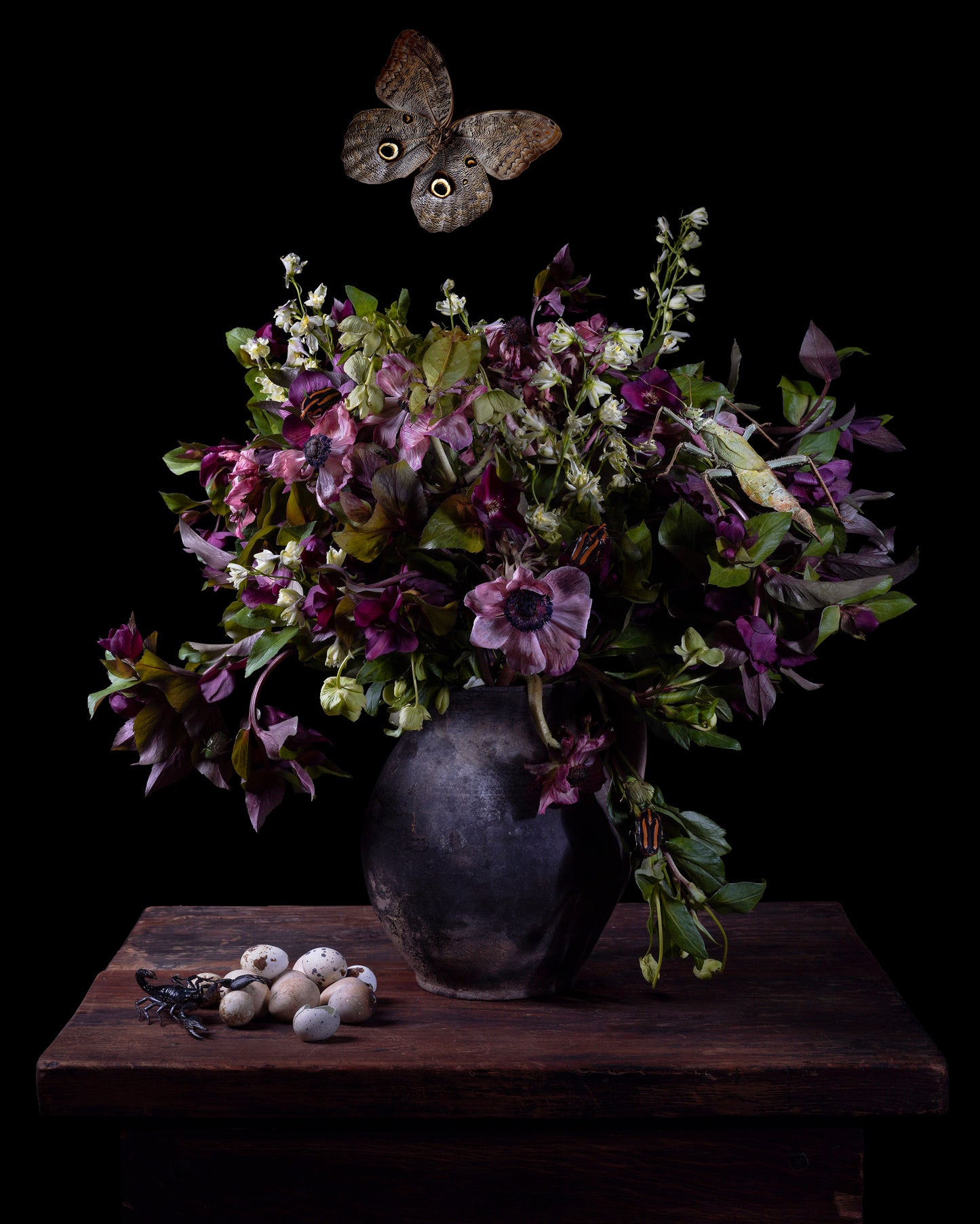 Vanitas Postcard Set - 5 Postcards