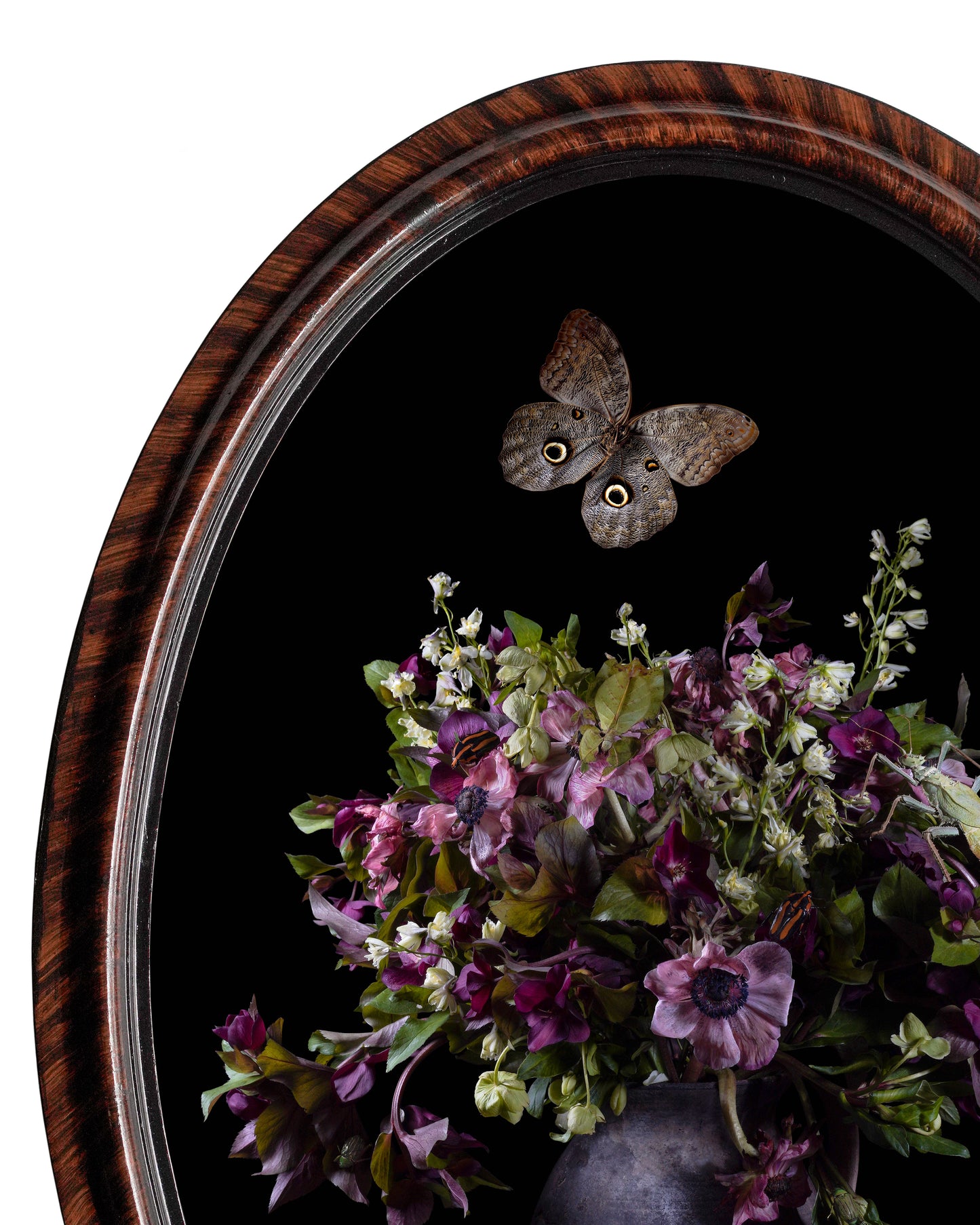 Spectre- Restored Victorian Frame, One of a Kind