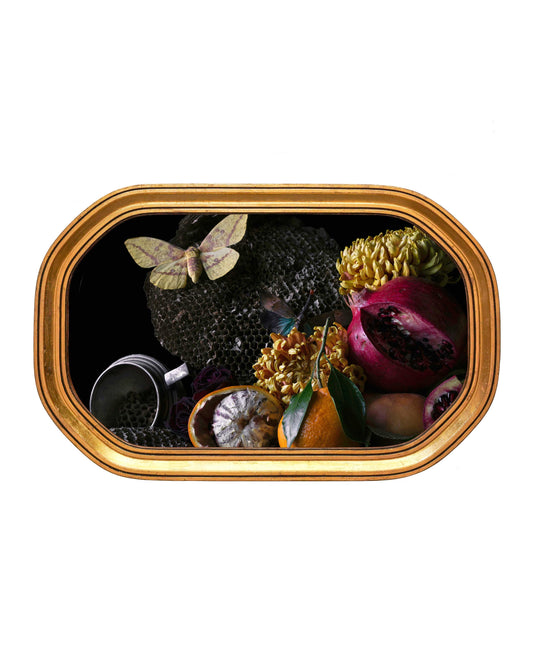 Transfigurato - Gilded Victorian Frame, One of a Kind