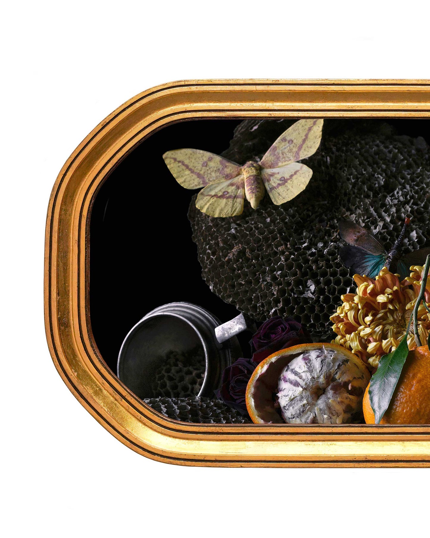 Transfigurato - Gilded Victorian Frame, One of a Kind