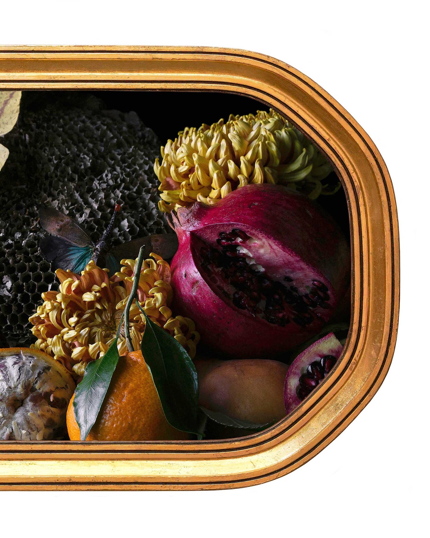 Transfigurato - Gilded Victorian Frame, One of a Kind