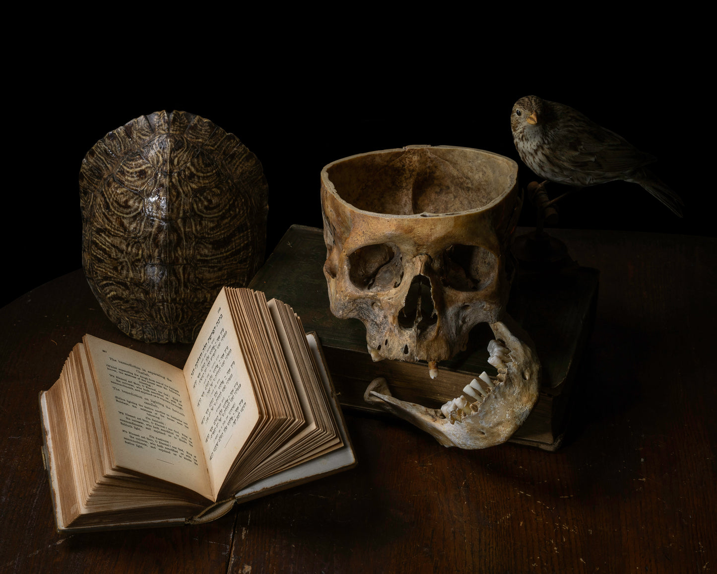 Vanitas Postcard Set - 5 Postcards