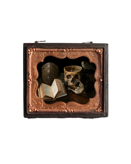 'Vanus' in Antique Union Case