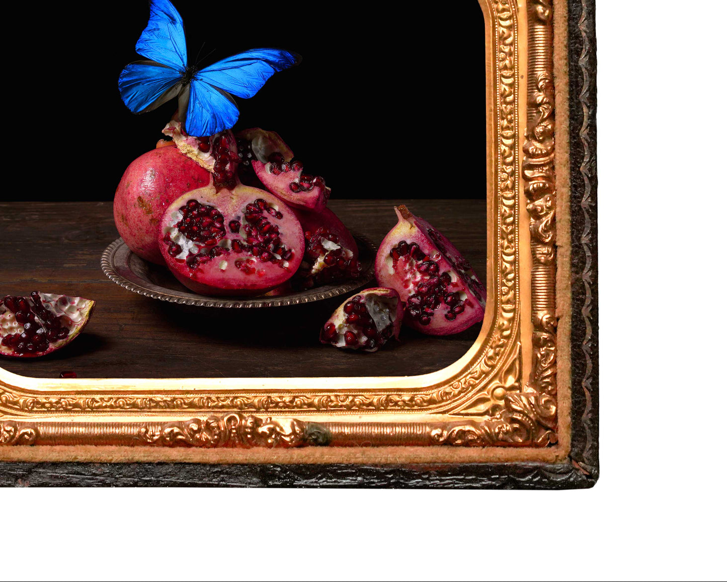 Visitare - Restored Union Case Frame, One of a Kind