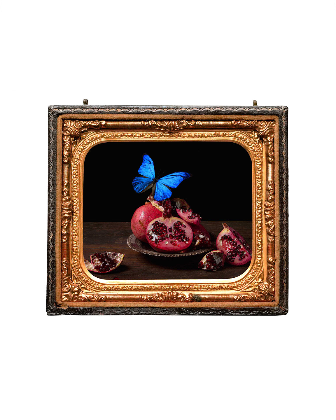 Visitare - Restored Union Case Frame, One of a Kind