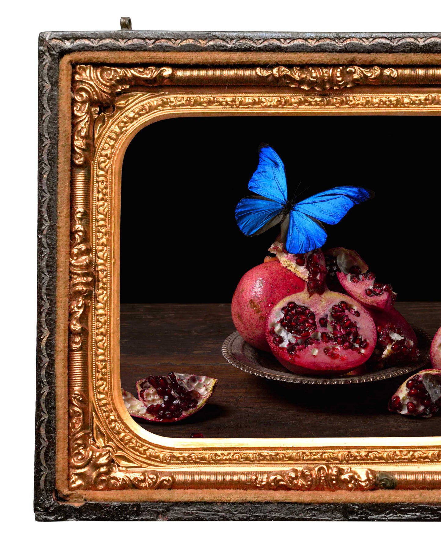 Visitare - Restored Union Case Frame, One of a Kind